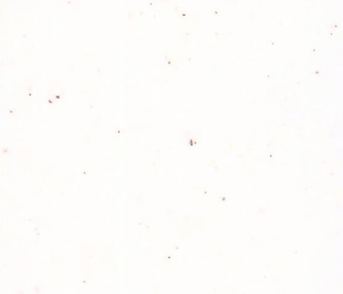  سنگ کورین اورانوس کد GR-175
