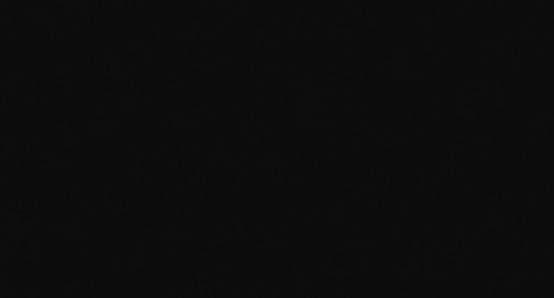 کوارتز سایلستون Iconic-Black